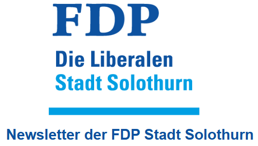 Lesenswerter Beitrag im FDP Newsletter